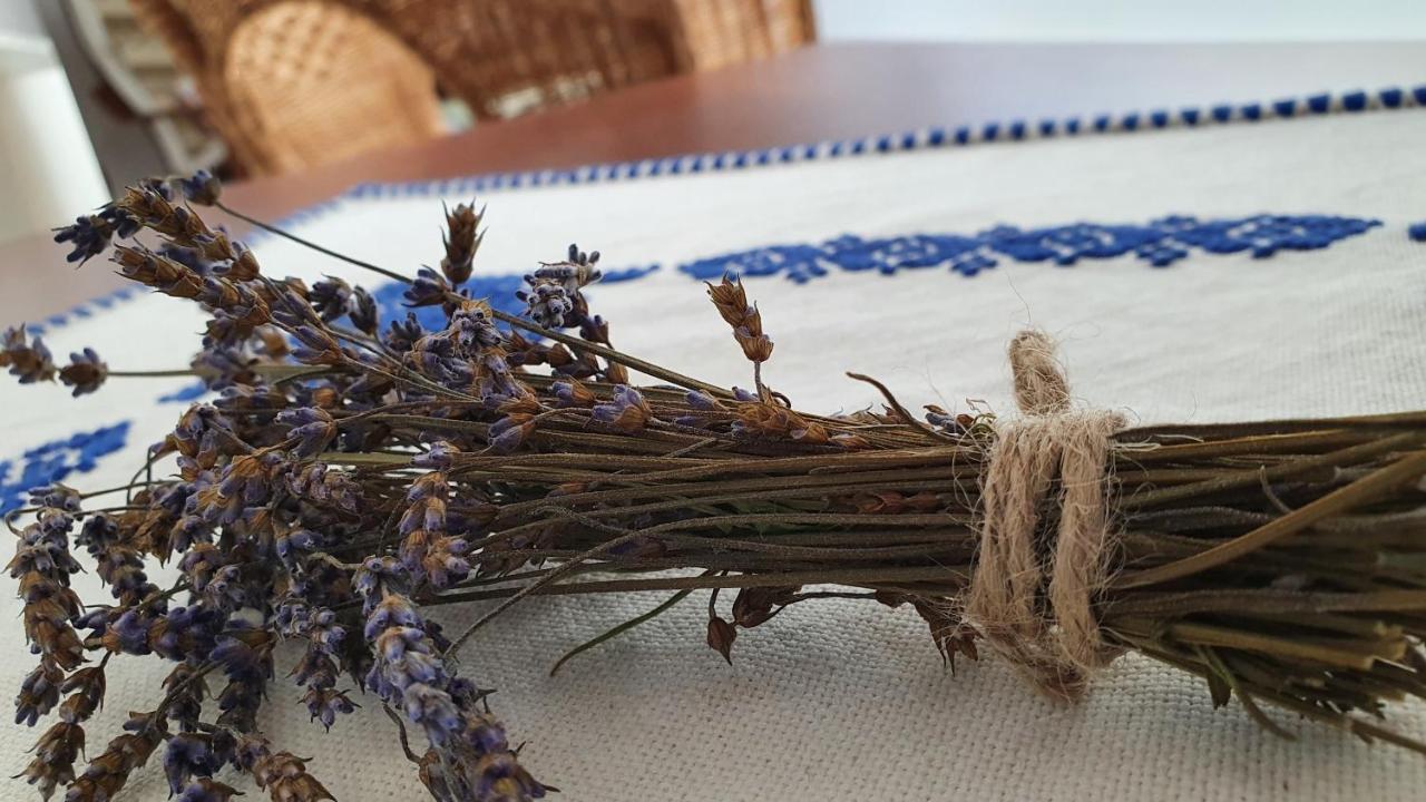 Pensiunea Aranyos Rimetea Dış mekan fotoğraf