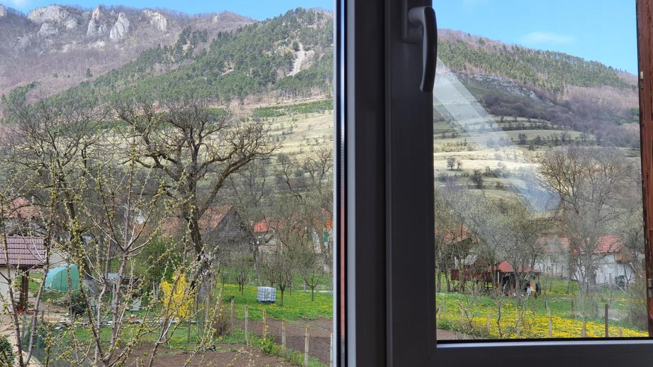Pensiunea Aranyos Rimetea Dış mekan fotoğraf